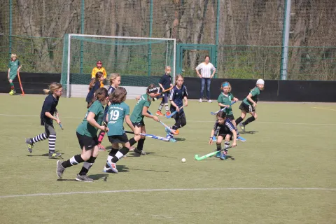 Ungeschlagener Turniersieger beim 5. Straußberg Cup 2017