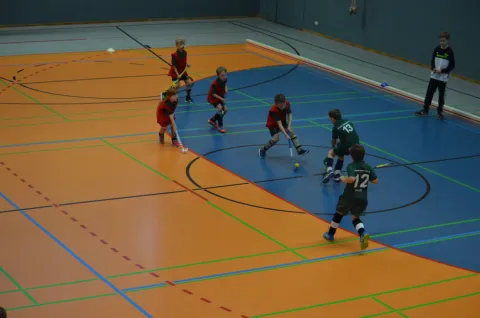 Finale der Minis - Erfurter HC vs. Erfurter HC Finale der Minis - Erfurter HC vs. Erfurter HC