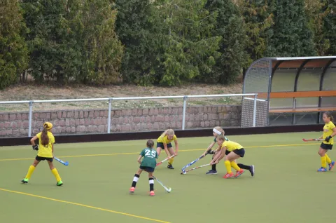 Das wird noch besser!