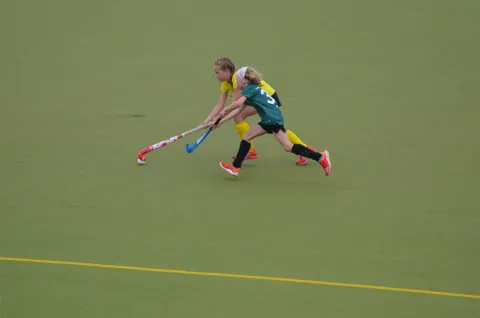 Das wird noch besser!