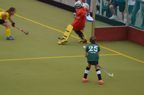 Das wird noch besser!