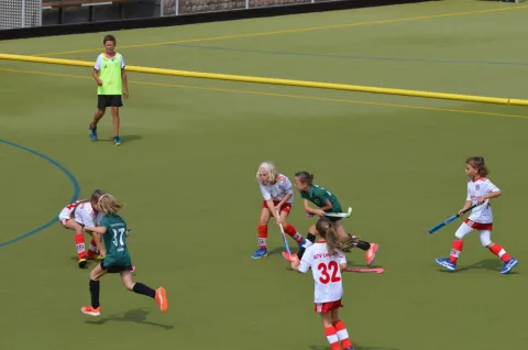 Das wird noch besser!