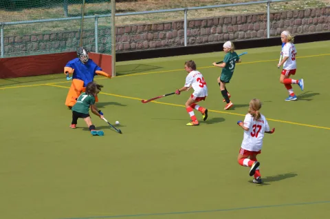 Das wird noch besser!