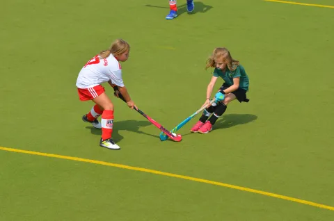 Das wird noch besser!