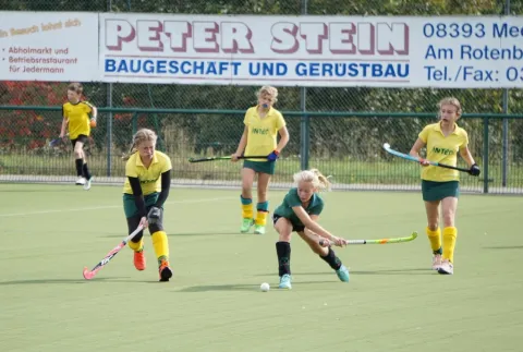 Harter Schlag Harter Schlag