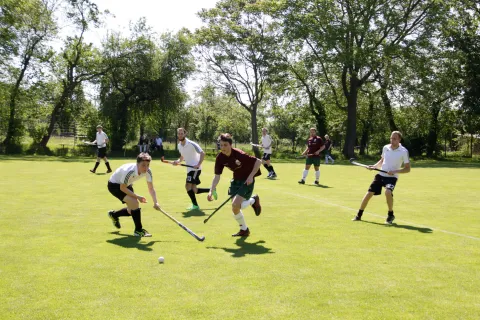 Hockey unterm Pillnitzer Weinberg Hockey unterm Pillnitzer Weinberg