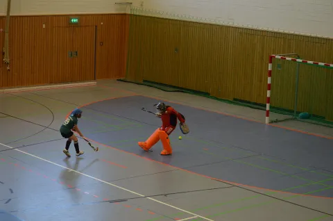 Penalty am Torhüter vorbei Penalty am Torhüter vorbei