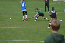 So ist der Ball perfekt unterwegs, knapp über dem Rasen