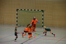 Auch die Abwehr steht und die Torfrau hat den Ball schon im Blick, doch bis zu ihr drang dieser Spielzug nicht durch.