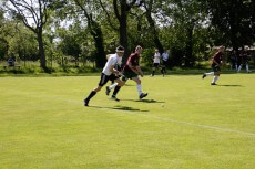 Hockey unterm Pillnitzer Weinberg