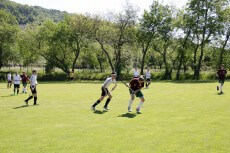 Hockey unterm Pillnitzer Weinberg