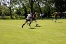 Hockey unterm Pillnitzer Weinberg