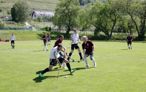 Hockey unterm Pillnitzer Weinberg